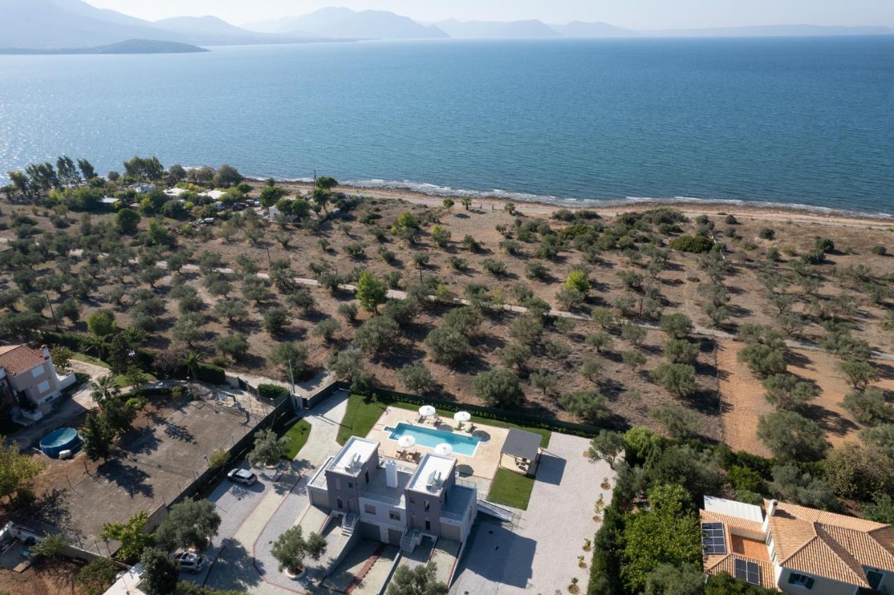 Marea Twins Villas Drosia  Bagian luar foto